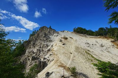 Low angle view of trees on mountain against sky