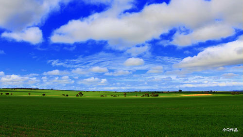 Scenic view of grassy field against cloudy sky