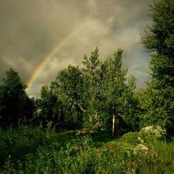 Scenic view of landscape against cloudy sky