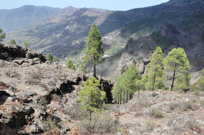 Scenic view of rocky mountains