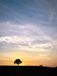 Silhouette trees on field against sky at sunset