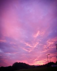 Silhouette of trees at sunset