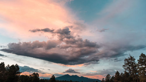 Low angle view of trees against sky during sunset