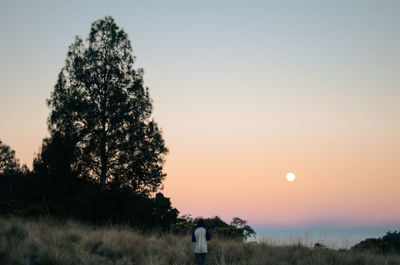 Trees on field against sky during sunset