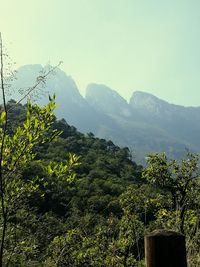 Trees and mountains against sky