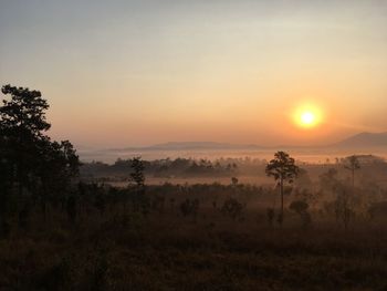 Scenic view of field against sky during sunset