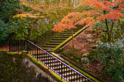 The walkway stepping stair with black steel railing under red leaves maple trees in japanese garden
