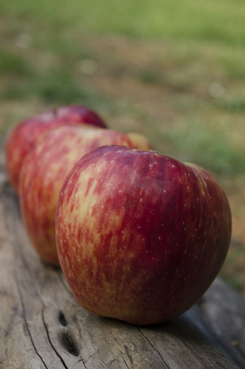 CLOSE-UP OF APPLE ON WOOD