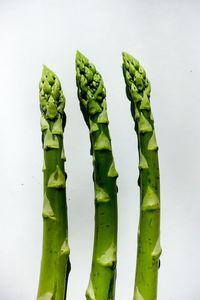 Close-up of aspagarus plant against white background