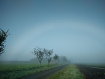 Trees on field against sky during foggy weather