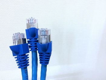 Close-up of blue network connection plugs