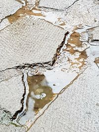 Full frame shot of puddle