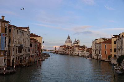 Canal amidst buildings in city