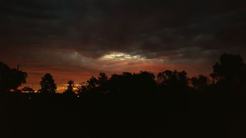 Silhouette trees against sky at night