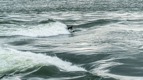 Person surfing in sea