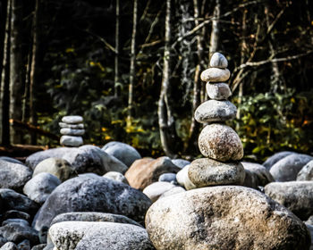 Stack of stones in forest