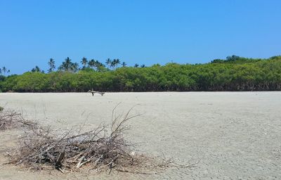 Scenic view of landscape against clear blue sky