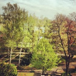 Scenic view of trees against sky