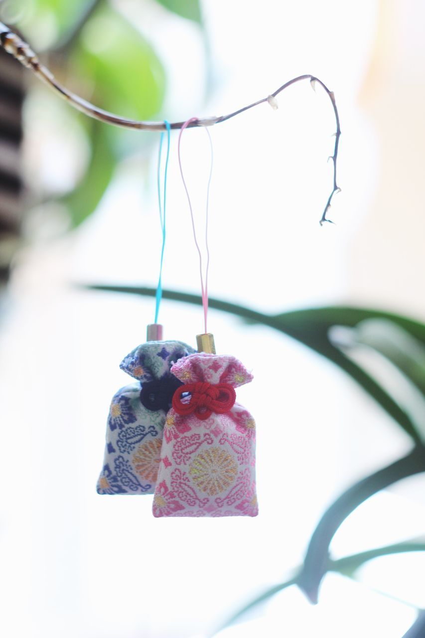 CLOSE-UP OF SMALL HANGING FROM PINK PLANT