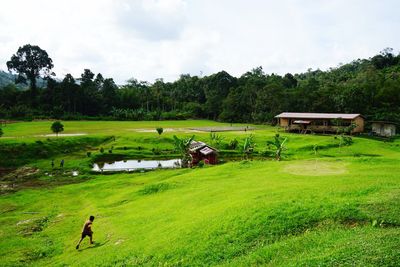 Scenic view of field against sky