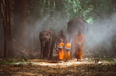Full length of monks walking with elephant in forest
