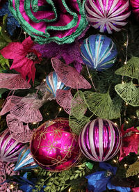 Full frame shot of multi colored flowers