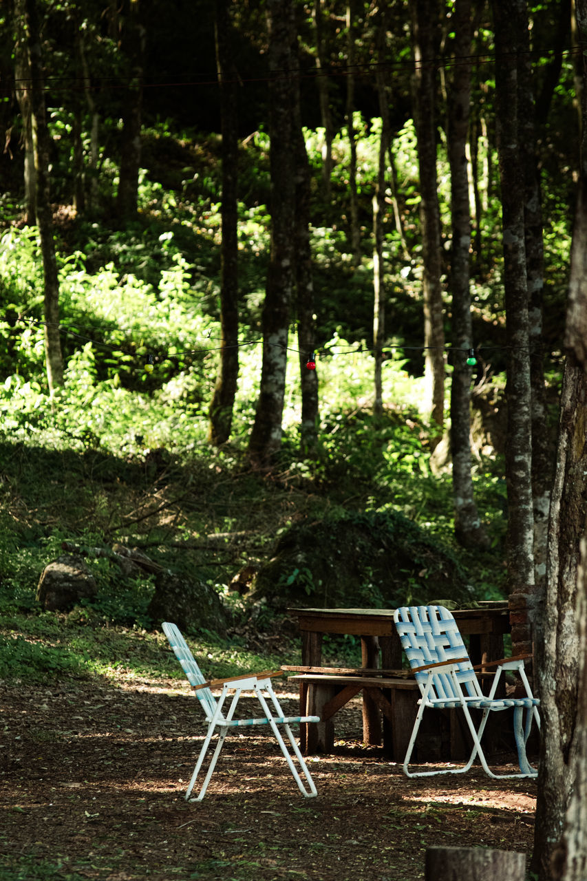 EMPTY CHAIRS AND TABLES ON TREES IN FOREST