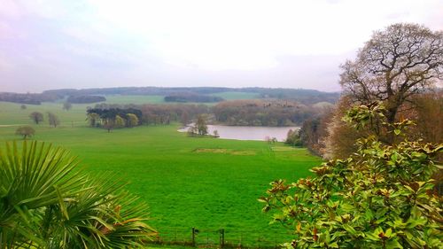 Scenic view of lake against sky