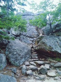 Stone wall by rocks in forest