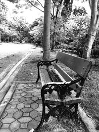 Trees in park