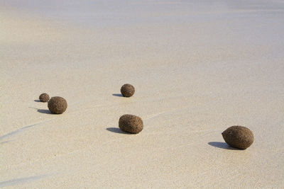 High angle view of stones on sand