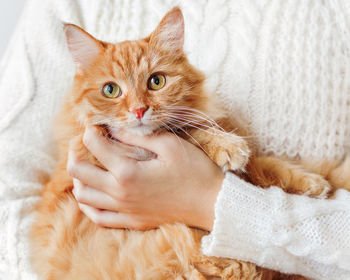 Woman in white cable-knit sweater holds ginger cat on hands. fluffy pet with scared face expression.