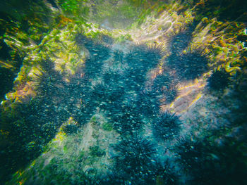Full frame shot of water