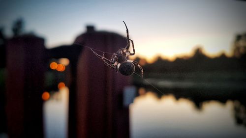 Close-up of fishing net on lake against sky at sunset