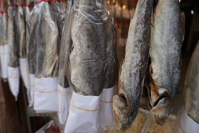 Close-up of fish for sale in market