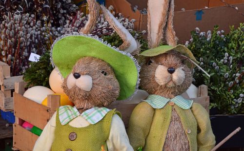 Close-up of easter bunnies in yard