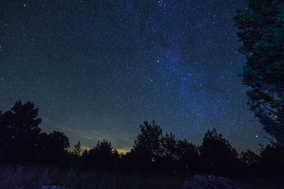 Low angle view of silhouette trees against sky at night