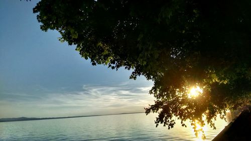 Silhouette tree by sea against sky during sunset
