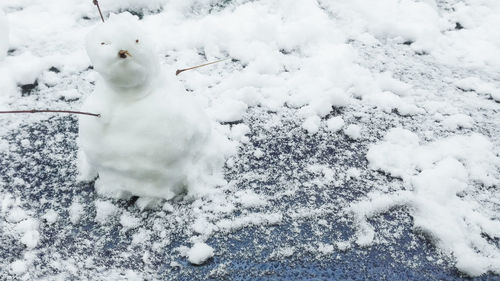 Close-up of snow on ice