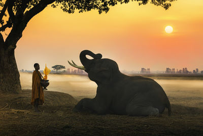 Monk standing by elephant against sky during sunset