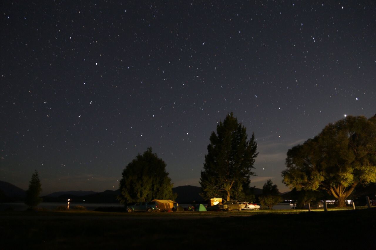 PANORAMIC VIEW OF TREES AGAINST SKY AT NIGHT
