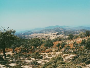 Scenic view of landscape against clear sky