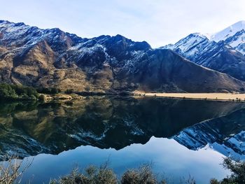 Reflection of trees in calm lake