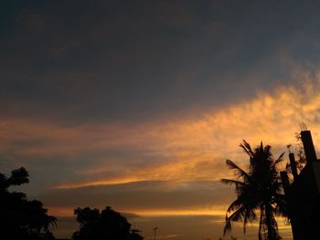 Low angle view of palm trees against cloudy sky