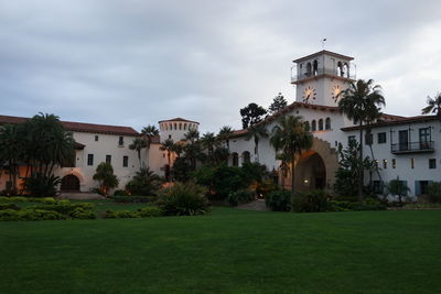 Trees on lawn with buildings in background