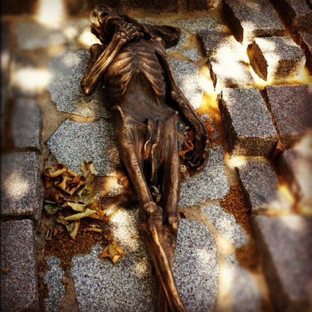 close-up, high angle view, street, outdoors, selective focus, day, dirty, messy, metal, no people, dry, leaf, focus on foreground, abandoned, sunlight, wet, sidewalk, metallic, nature, damaged