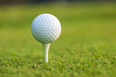 Golf ball on grass