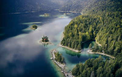 High angle view of sea by trees