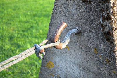 Close-up of hook on rock