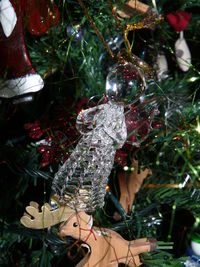 Close-up of christmas tree